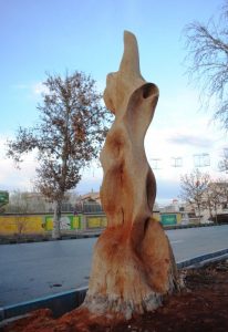 درخت خیابان طالقانی